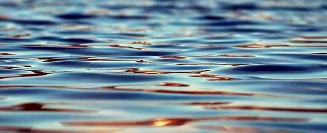 В Самарской области на озере утонул мужчина