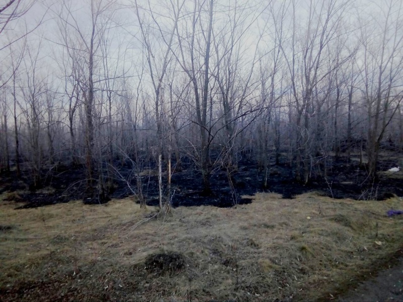В Самарской области за сутки произошло 84 природных пожара