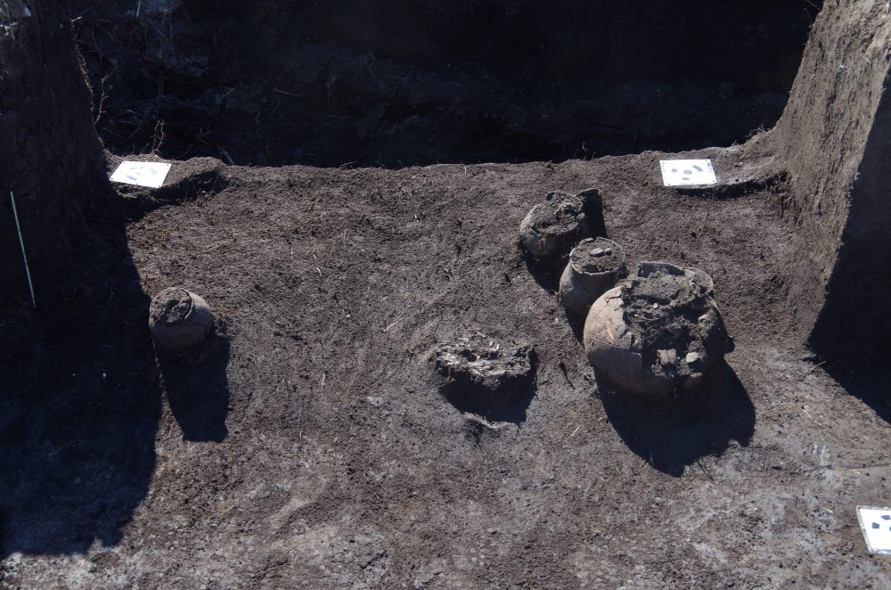 В Самарской области во время раскопок нашли украшения из бронзы и каменный молот