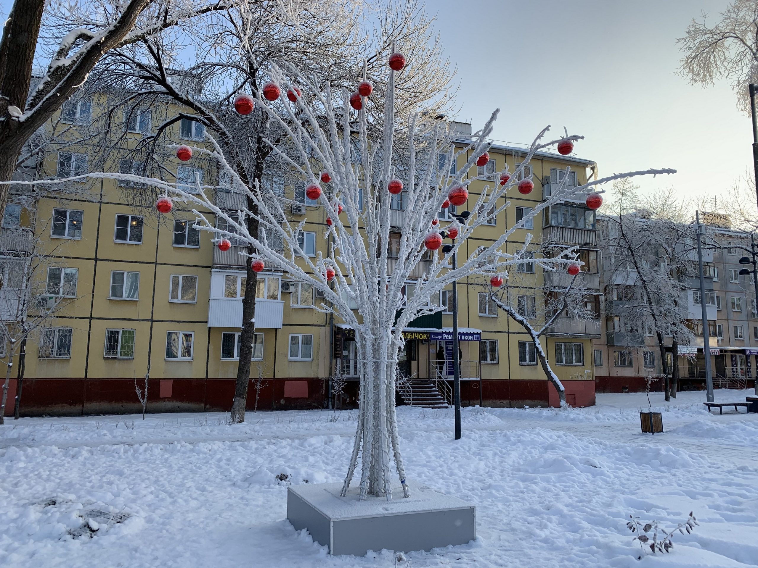 Сквер на Авроре украсили новогодней иллюминацией