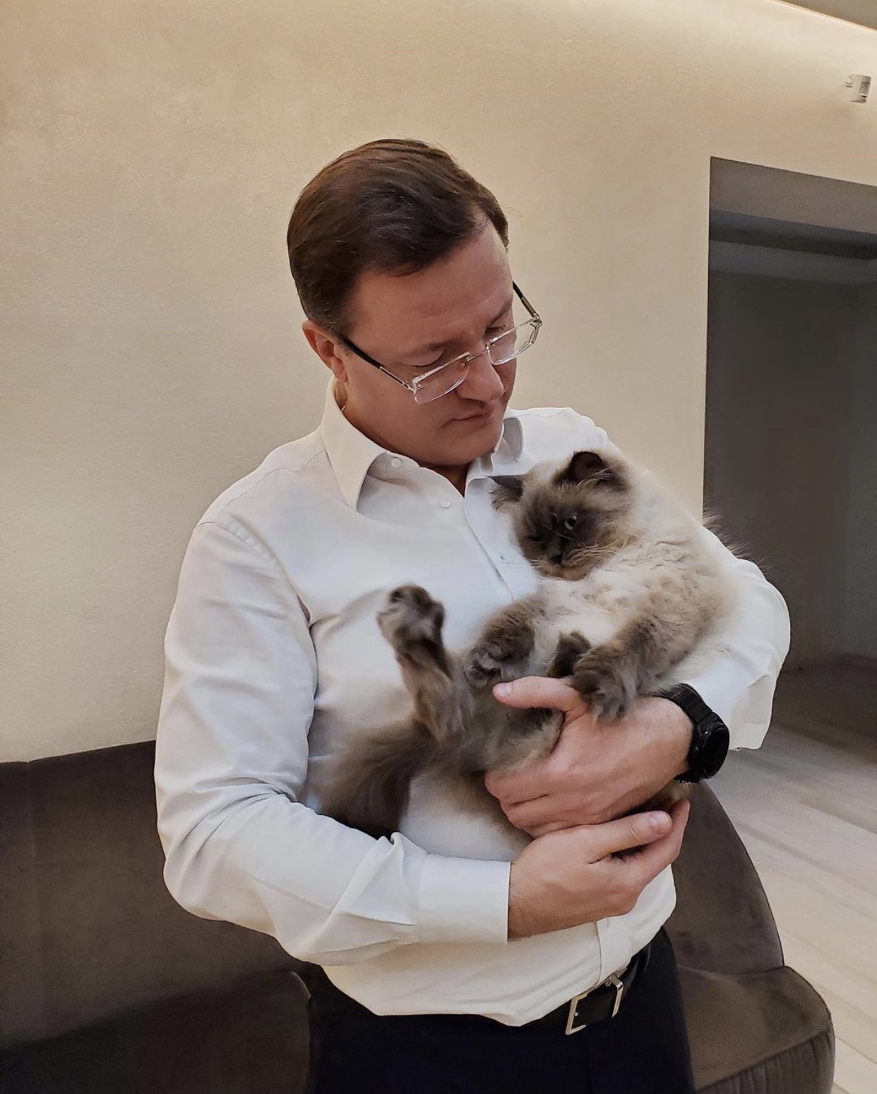 Губернатор Самарской области завел кота