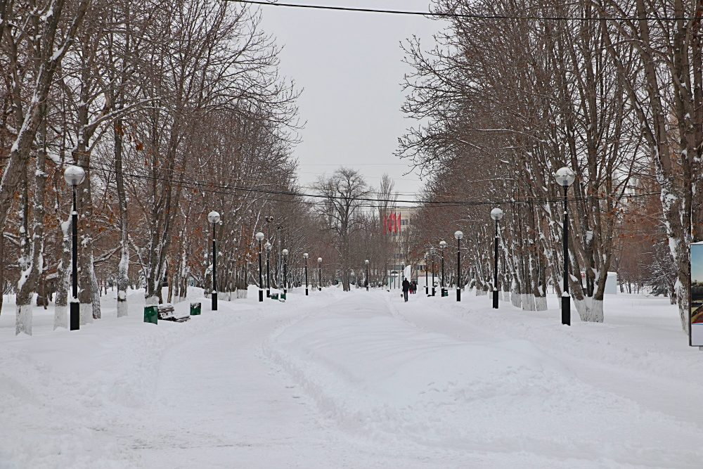 Температура в Самаре и области побила рекорд Великой Отечественной войны