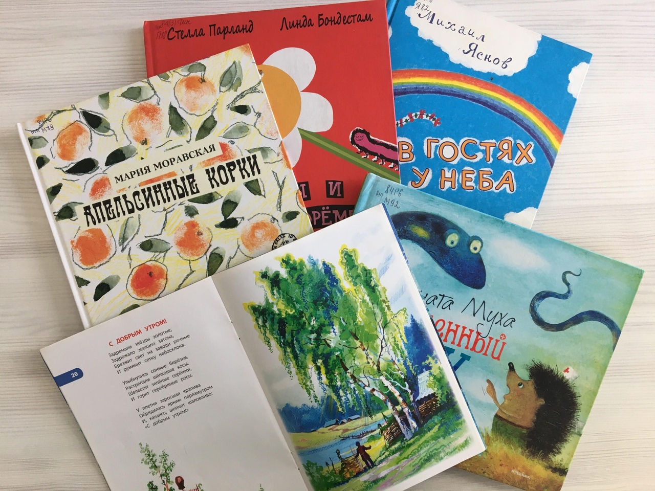 В Самарской детской библиотеке №25 состоится поэтическое состязание