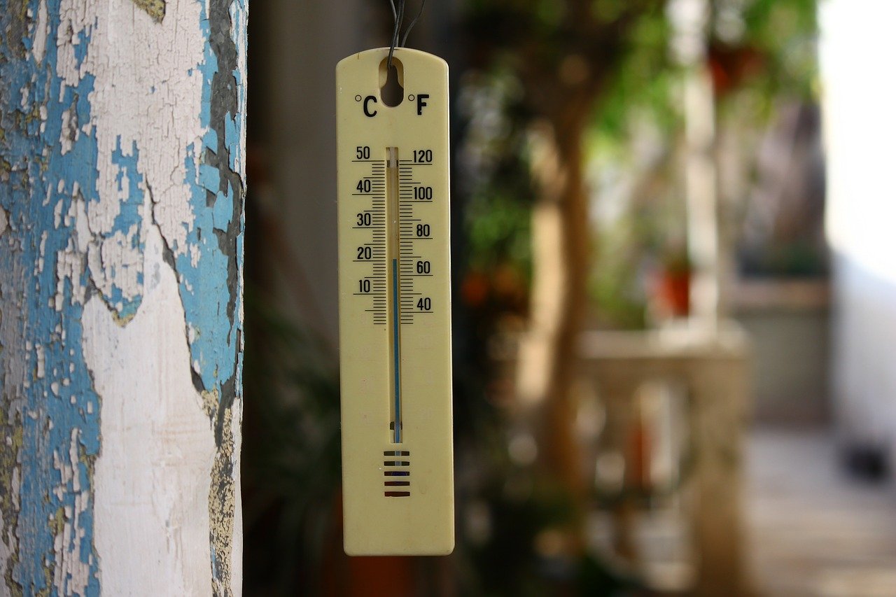 В Самаре к концу недели ожидается потепление