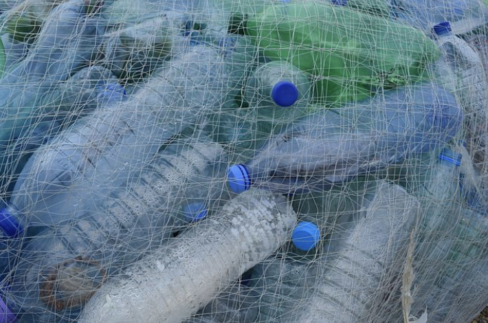 Берега Волги, Самары и Татьянки расчистят от мусора и отходов