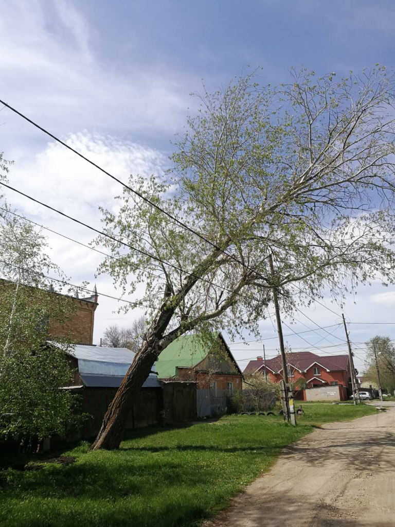 На улице Куйбышева в Самаре убрали упавшее дерево