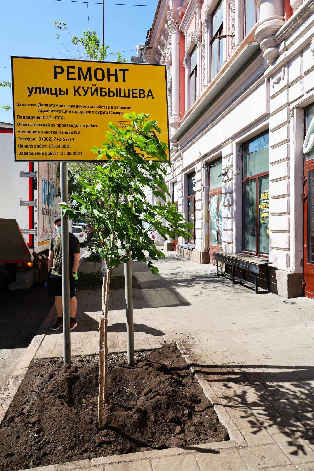 На улице Куйбышева в Самаре начали высаживать новые деревья