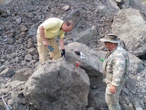 Самарские палеонтологи обнаружили останки ихтиозавра