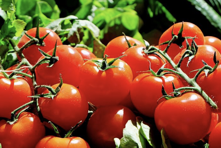 Фестиваль «Сызранский помидор» проведут в онлайн-формате