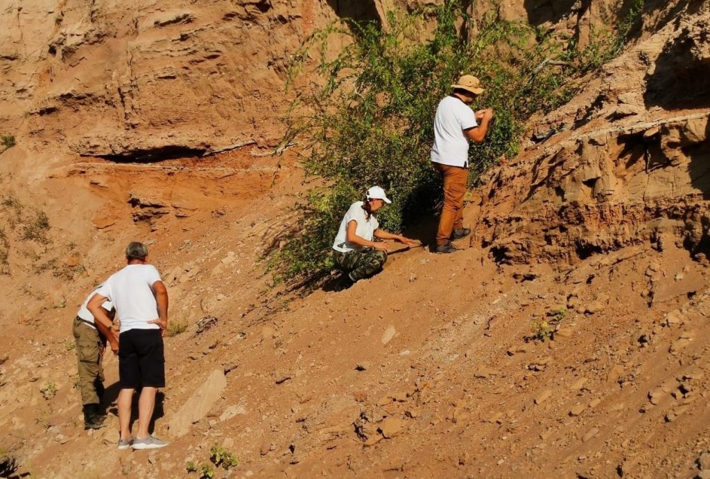 Самарские палеонтологи нашли останки древних лягушек