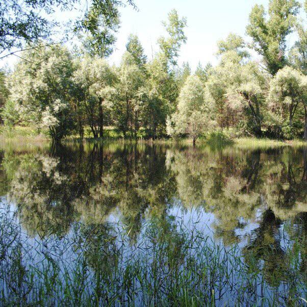Озера, леса и парки: где устроить пикник осенью в Самаре