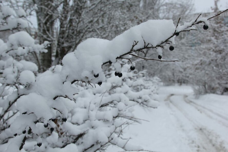Самара вошла в десятку городов России с самыми снежными зимами