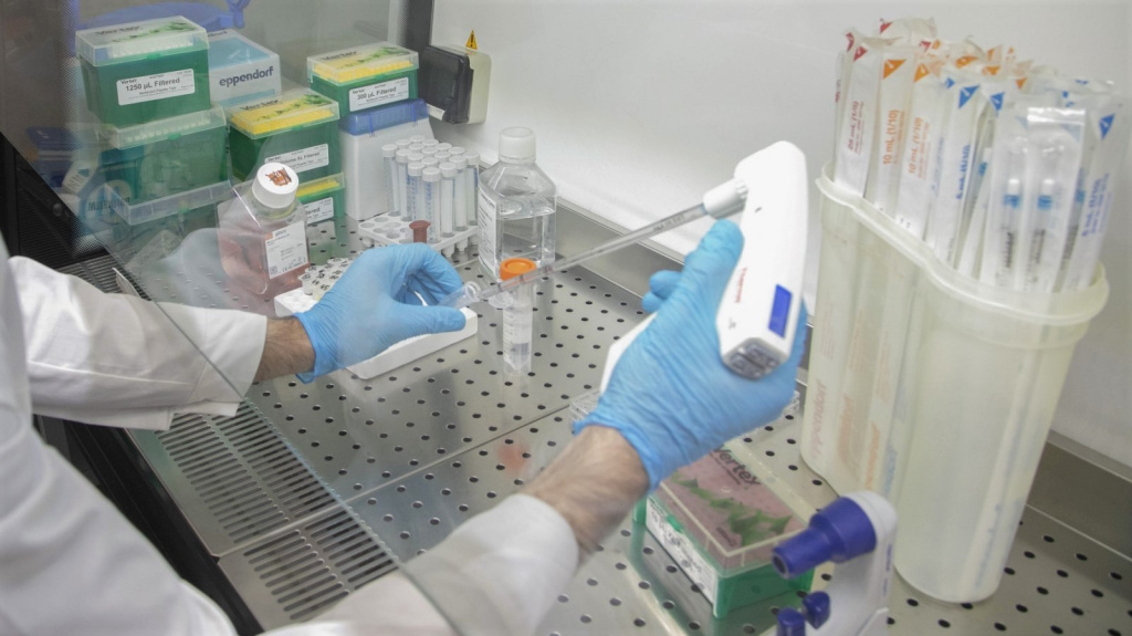 Ученые ТГУ начинают разработку «химерной молекулы», убивающей рак