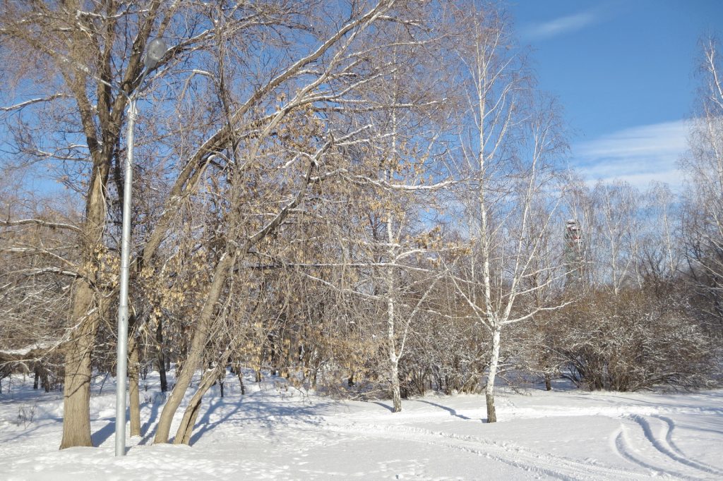 В Самарской области выпало рекордное количество снега