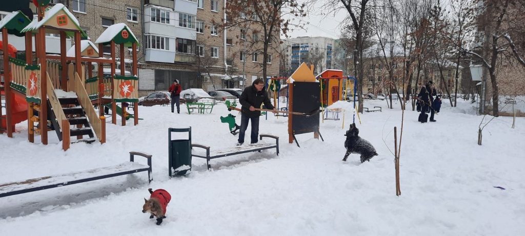 В Кировском районе дворы активно помогают убирать жители