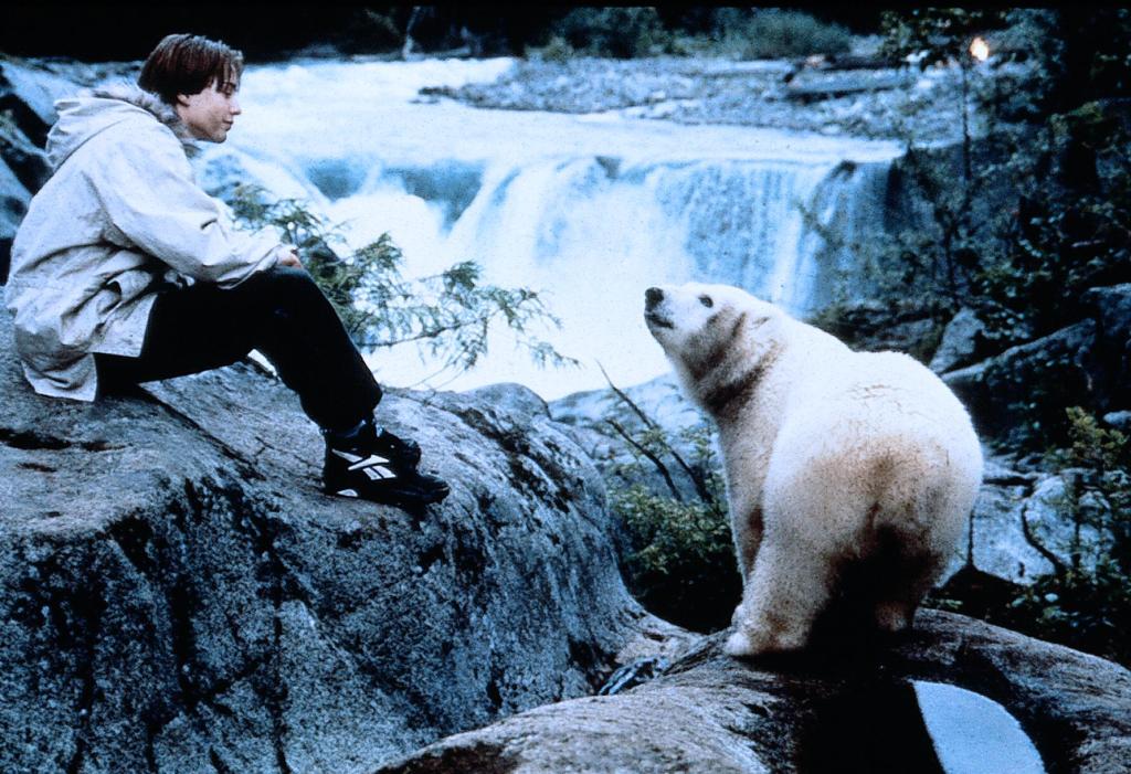 Большой и белый: топ-5 фильмов к Дню полярного медведя