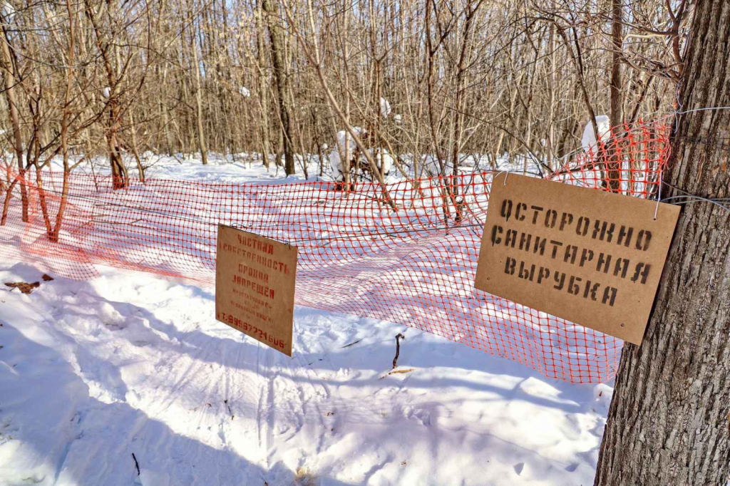 Елена Лапушкина сообщила, что на территории парка 60-летия Советской власти не вырубают деревья
