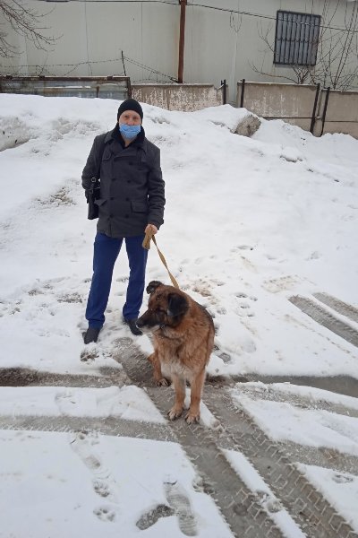 Служебным собакам УФСИН Самарской области, вышедшим на пенсию, нашли хозяев