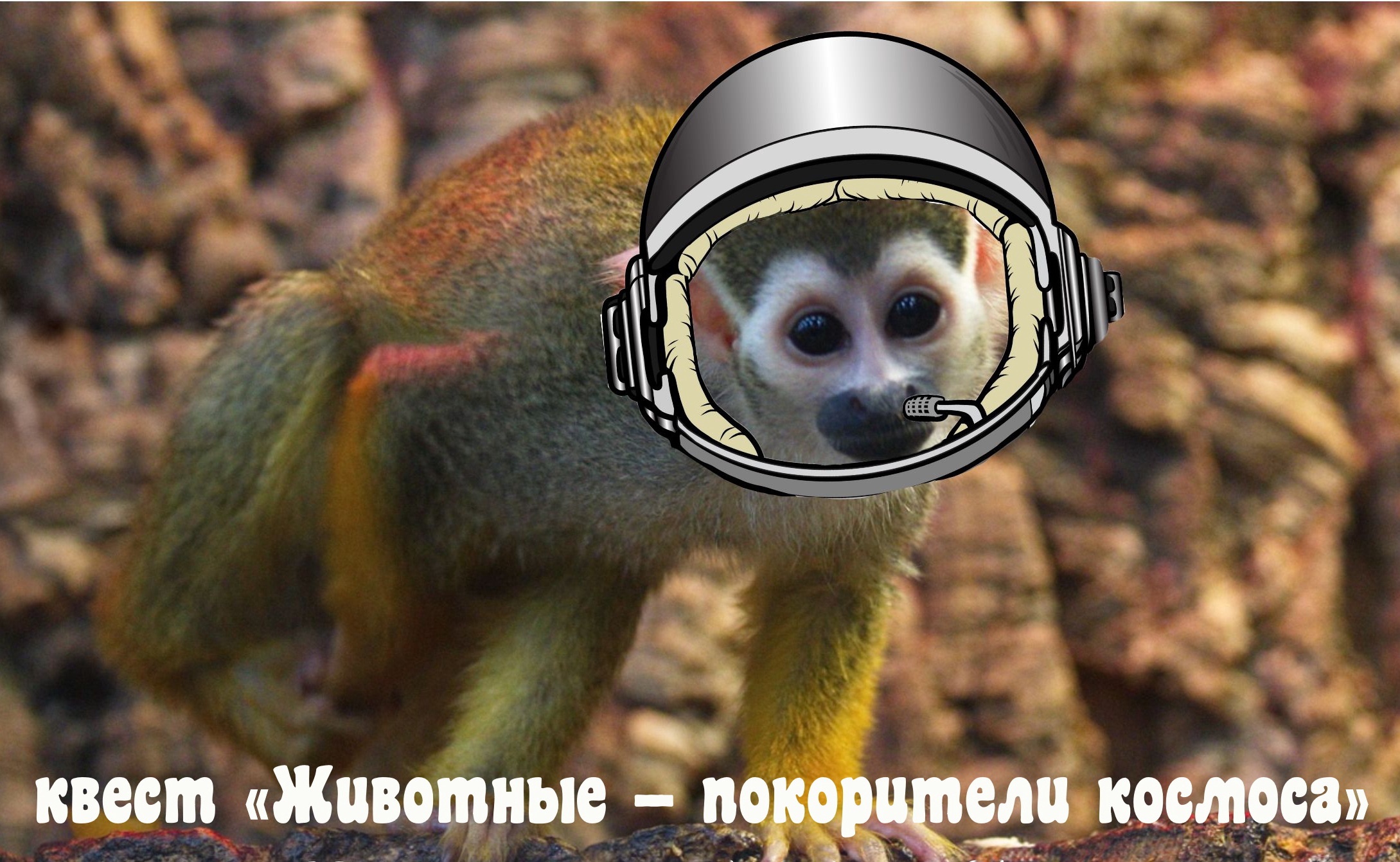 В Самарском зоопарке расскажут про животных - покорителей космоса