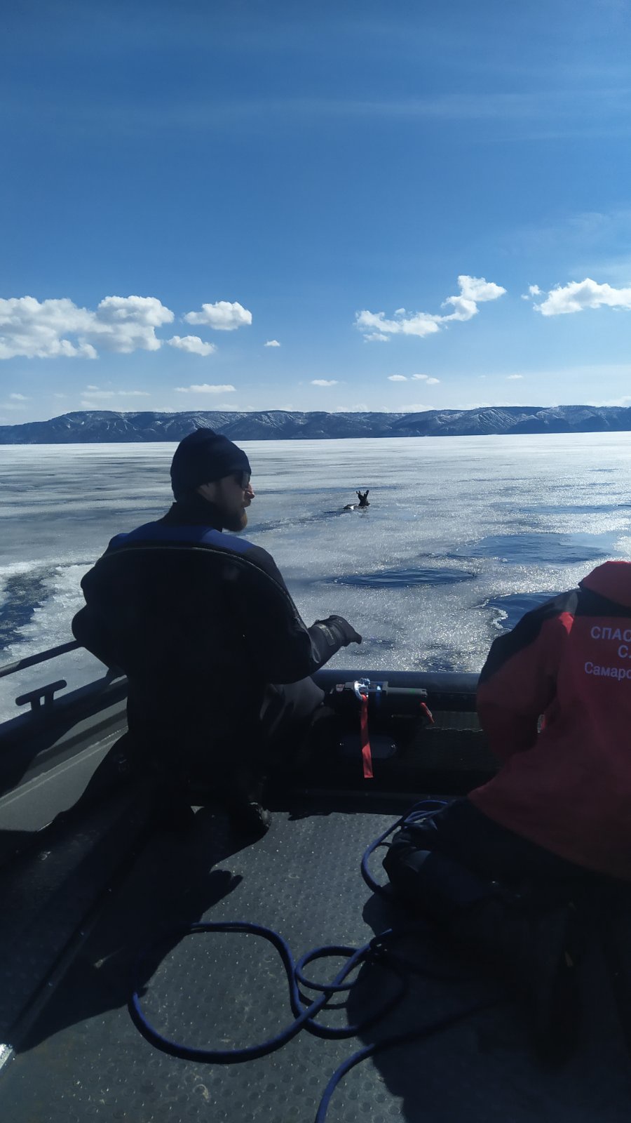 В Тольятти спасатели вытащили провалившуюся под лед косулю