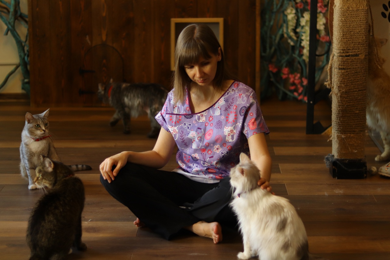 Руководитель «Чукотки» Лидия Имайкина: Кошки - животные переживательные
