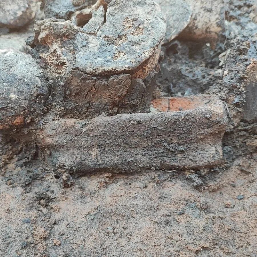 Археологи из Самары нашли захоронение бронзового века