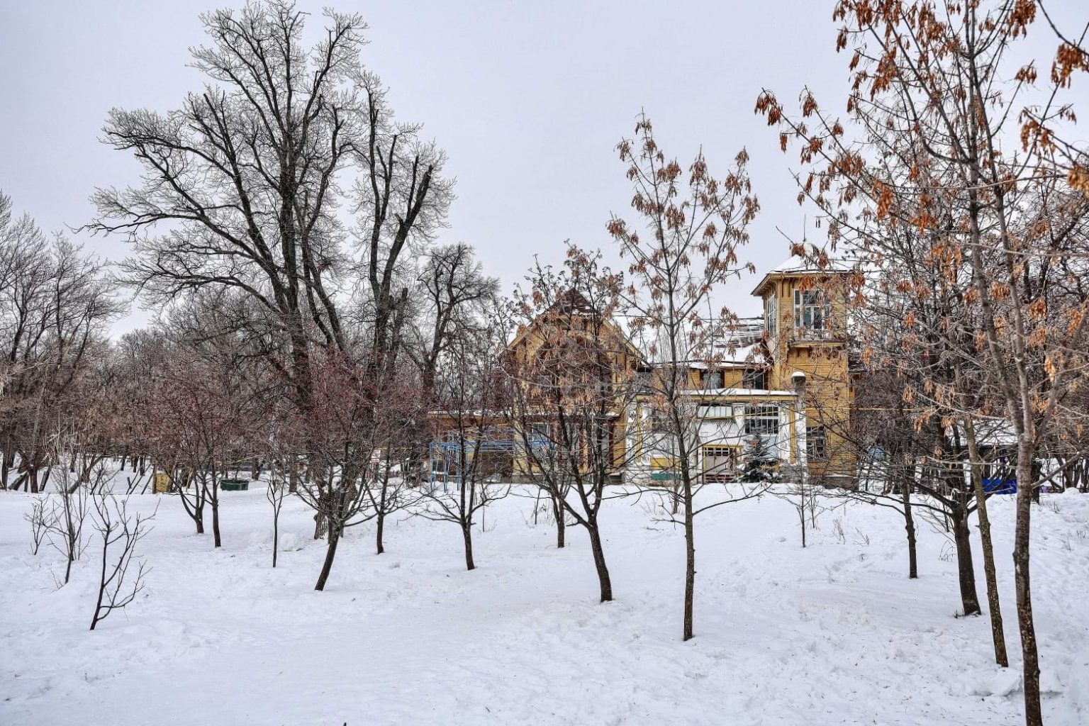 Содержание газонов в Загородном парке Самары обойдется в 1,3 млн рублей