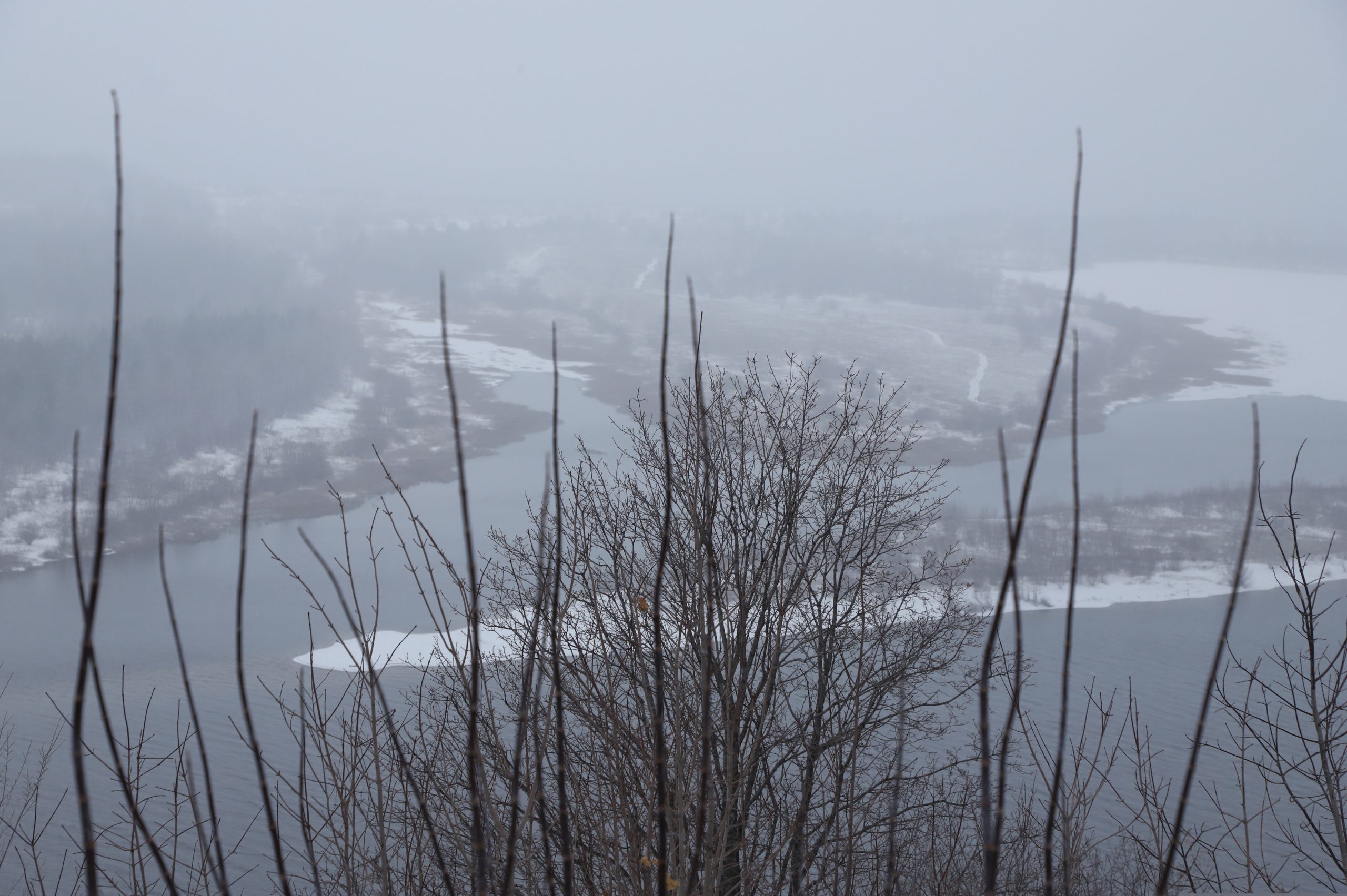В Жигулевском заповеднике закрыли экскурсионные маршруты «Каменная чаша» и «Стрельная гора»