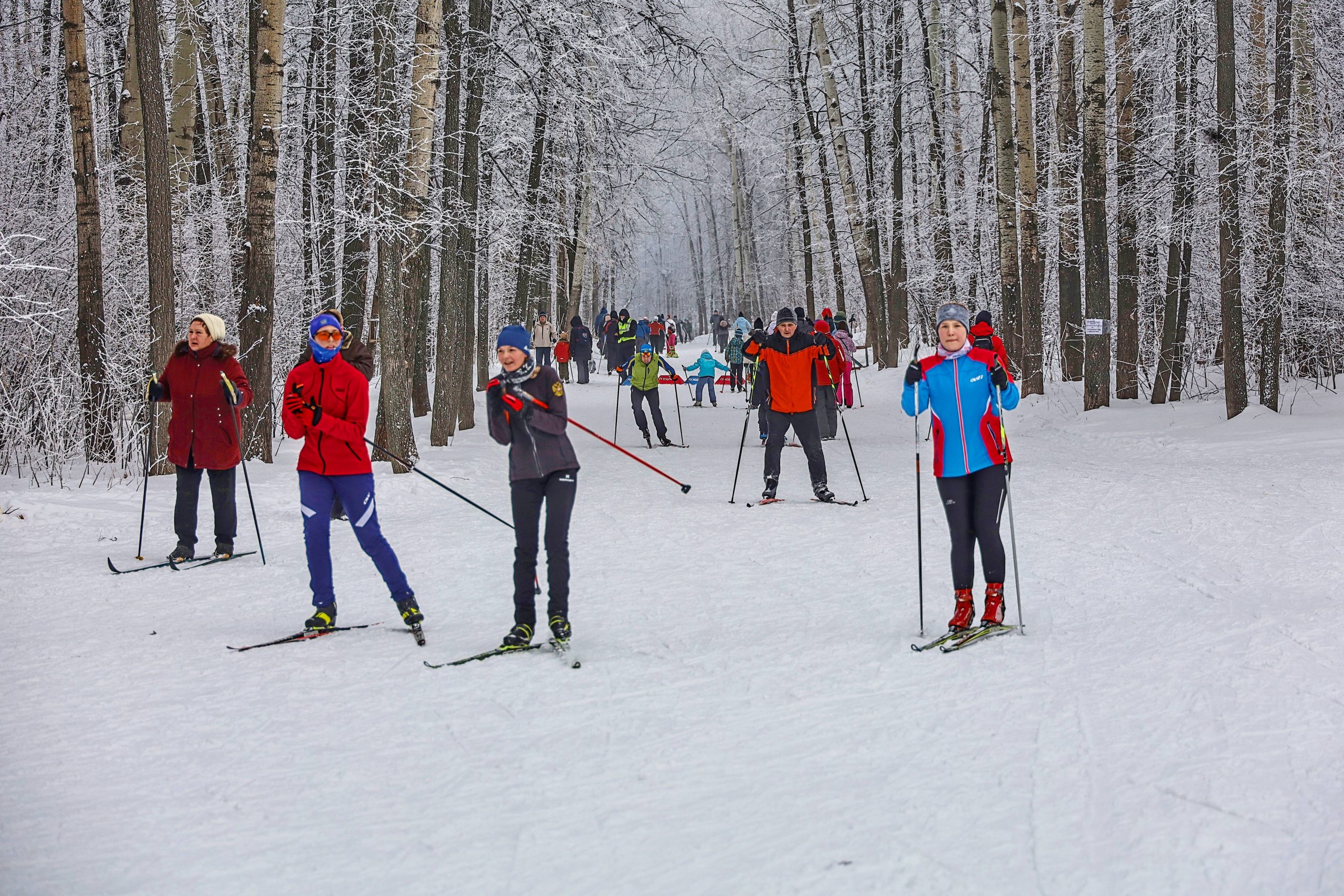 Самарцы могут стать участниками лыжного марафона «Сокольи горы 2023»