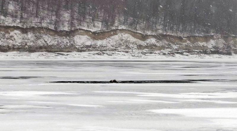 На Волге возле Тольятти снегоход провалился под лед