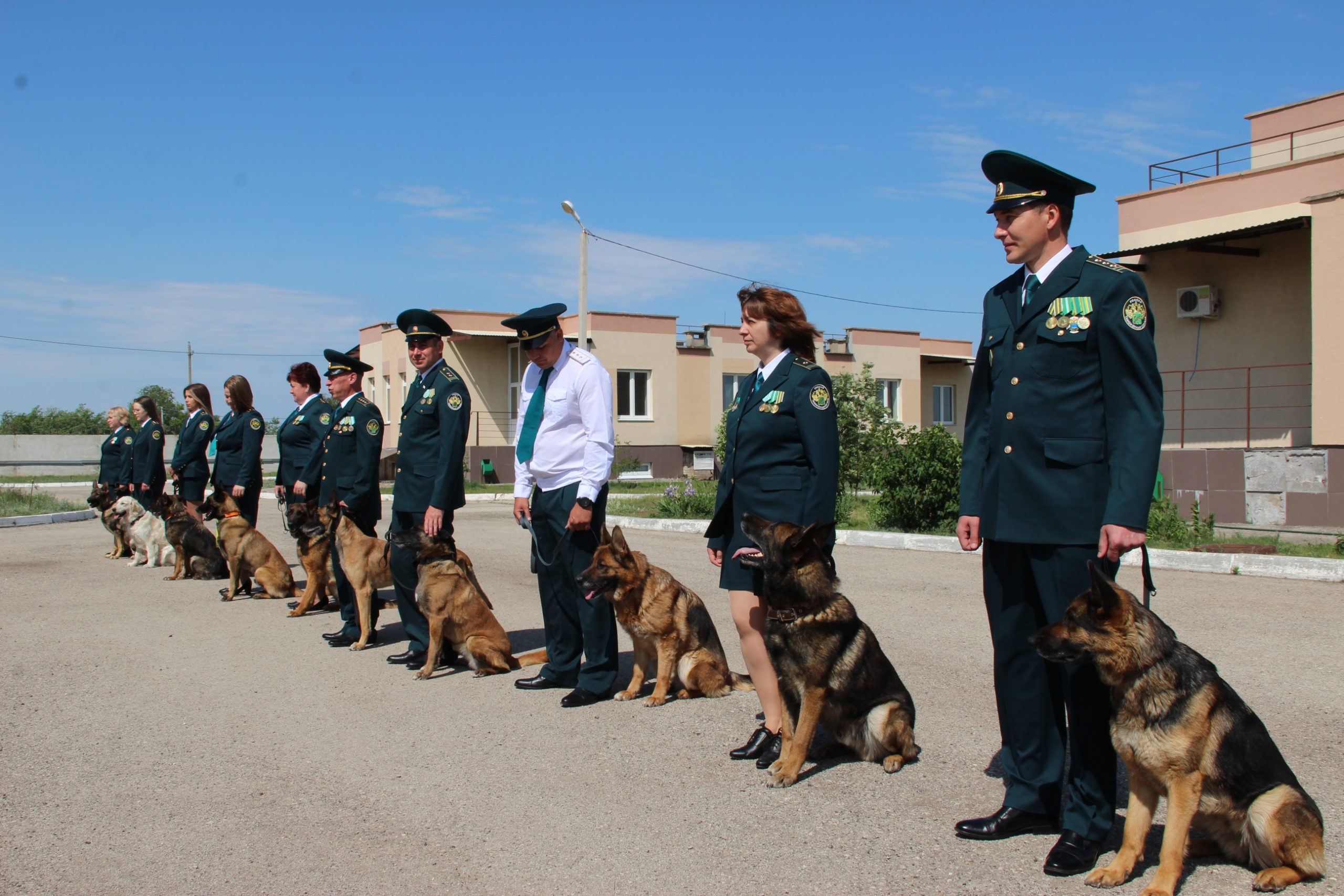 Самарские таможенные собаки стали лучшими в Приволжском регионе