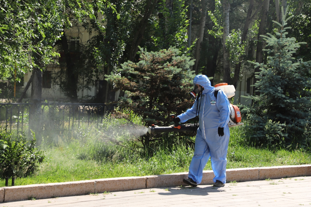 Парки и скверы Самары продолжают обрабатывать от комаров