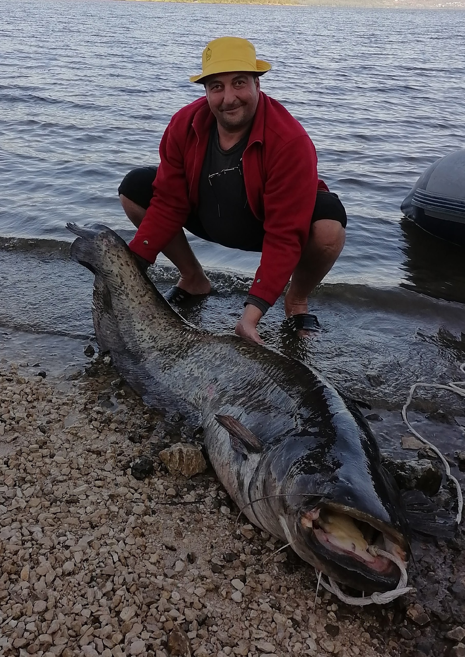 Самарский рыбак поймал сома весом более 40 кг