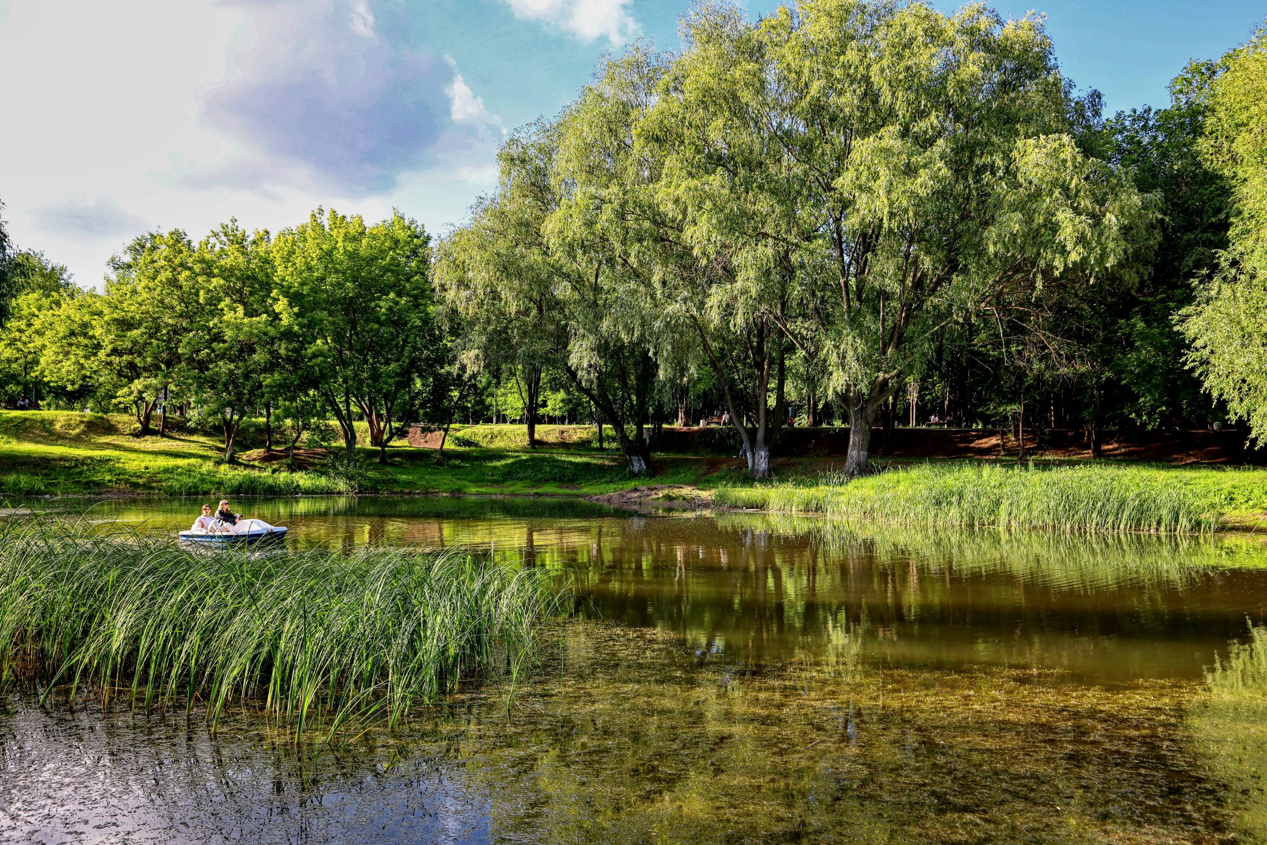 В самарском парке «Воронежские озера» восстановят водоем