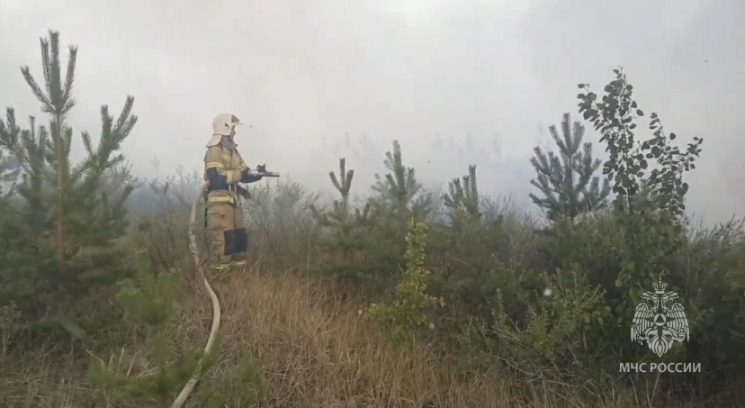 Более 300 человек тушат лесной пожар в районе Тольятти