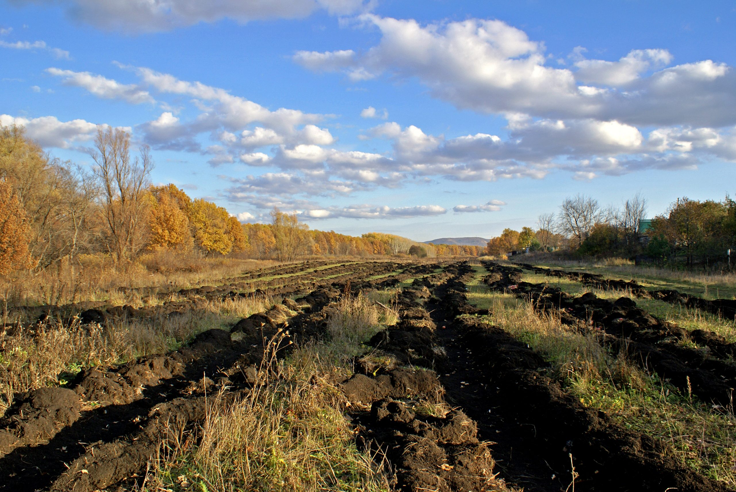 Два самарских сельхозпредприятия вошли в десятку лучших землевладельцев России