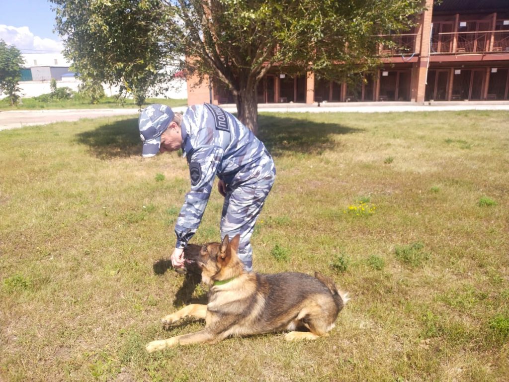 С начала года при участии собак в Самарской области раскрыли около 400 преступлений