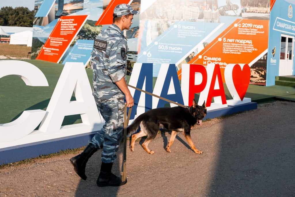 С начала года при участии собак в Самарской области раскрыли около 400 преступлений