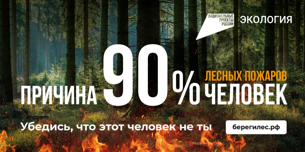 В Самарской области сохраняется риск возникновения лесных пожаров