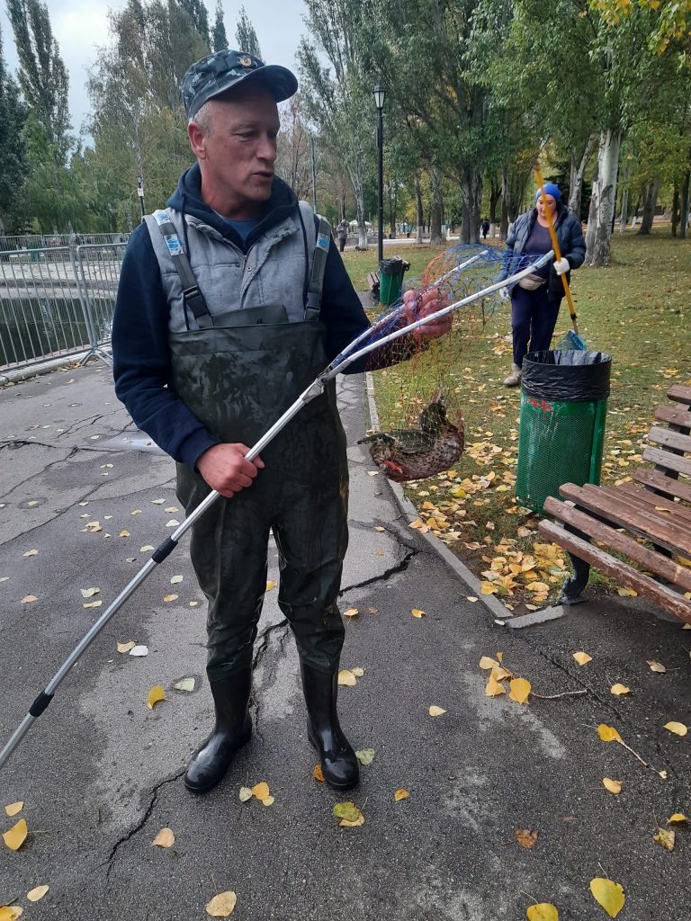 В парке Победы в Самаре спасли утку со сломанным крылом