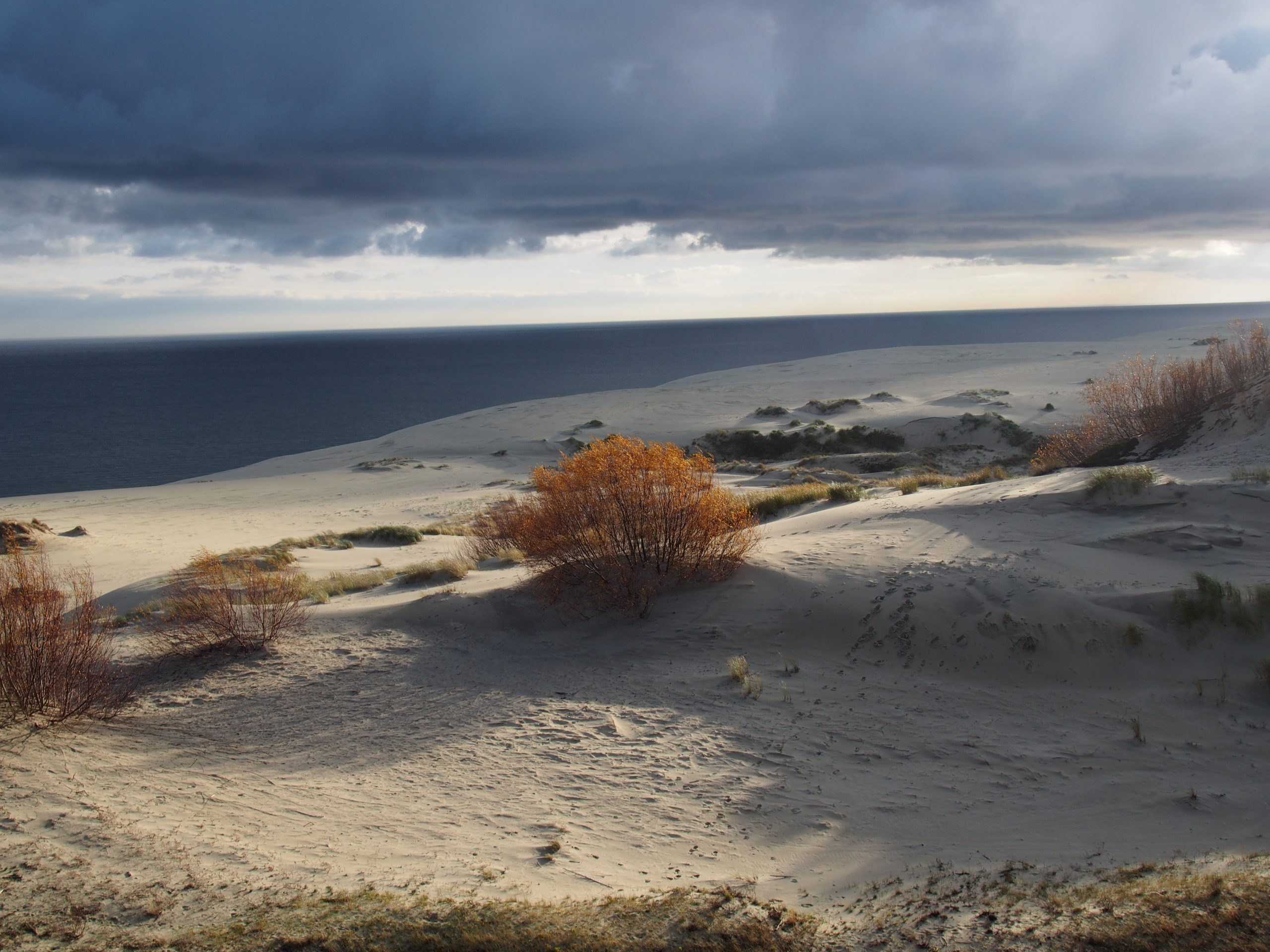Море, лес и песчаные дюны. Самарцы прошли пешком по Куршской косе в Калининградской области