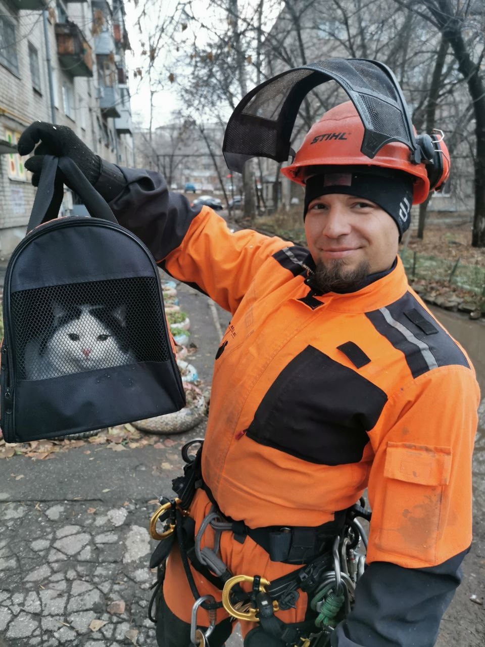 Сотрудники самарской компании помогли спасти кота, просидевшего на дереве более суток