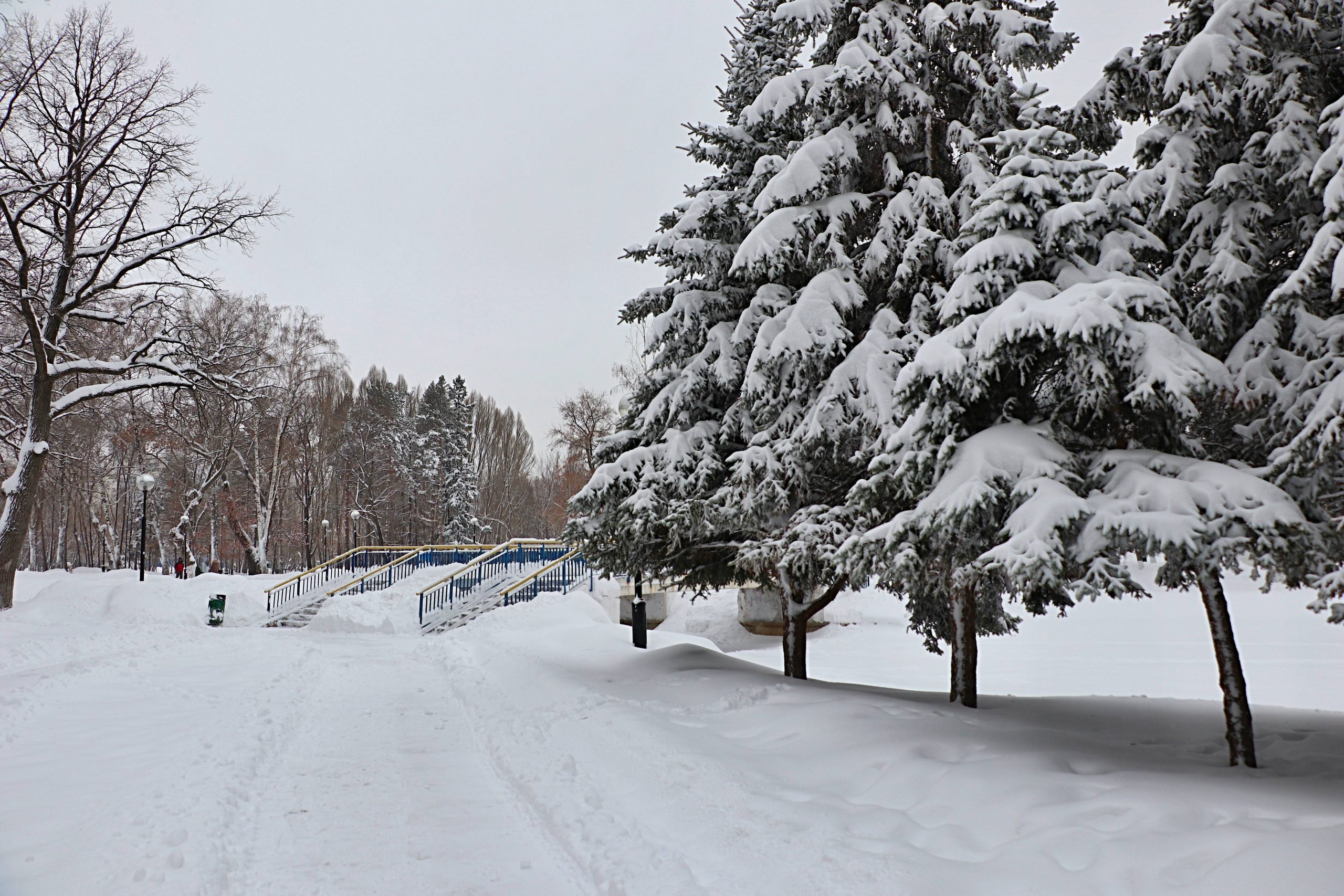 В Самарской области побит очередной снежный рекорд