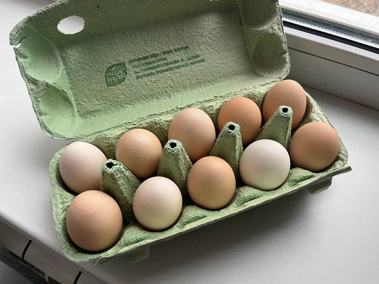 В Самарской области куриные яйца подорожали за неделю на 9,77%