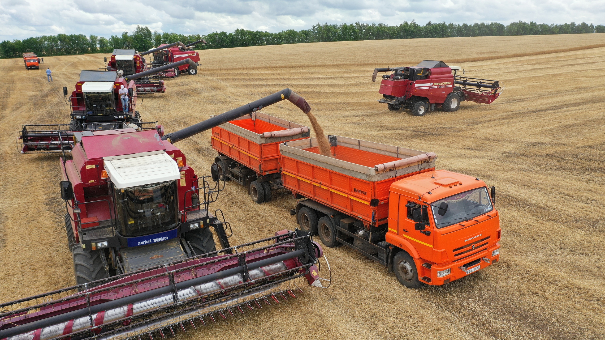 За год в Самарской области собрали 2,6 миллиона тонн зерна