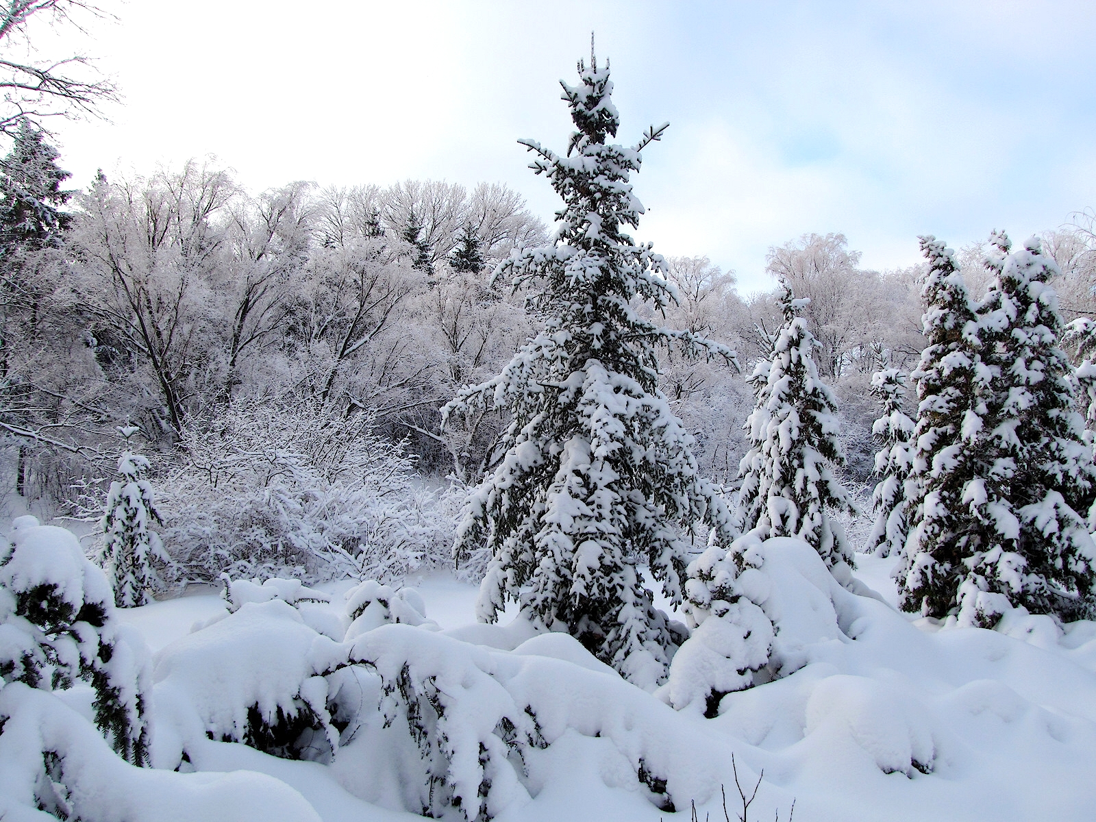 Снежная погода в Самарской области побила три рекорда 28-летней давности