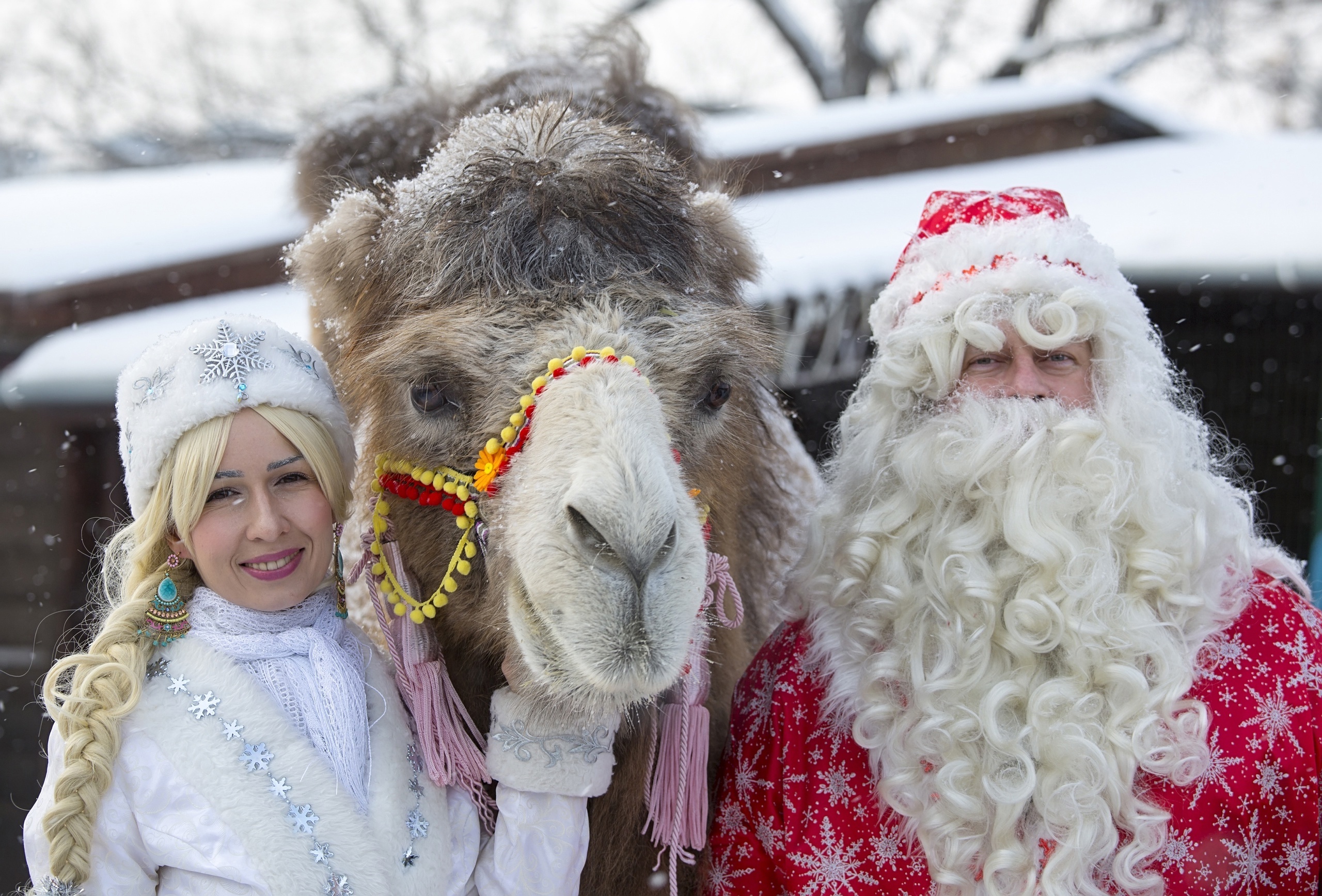В Самарском зоопарке рассказали, как животные переносят морозы