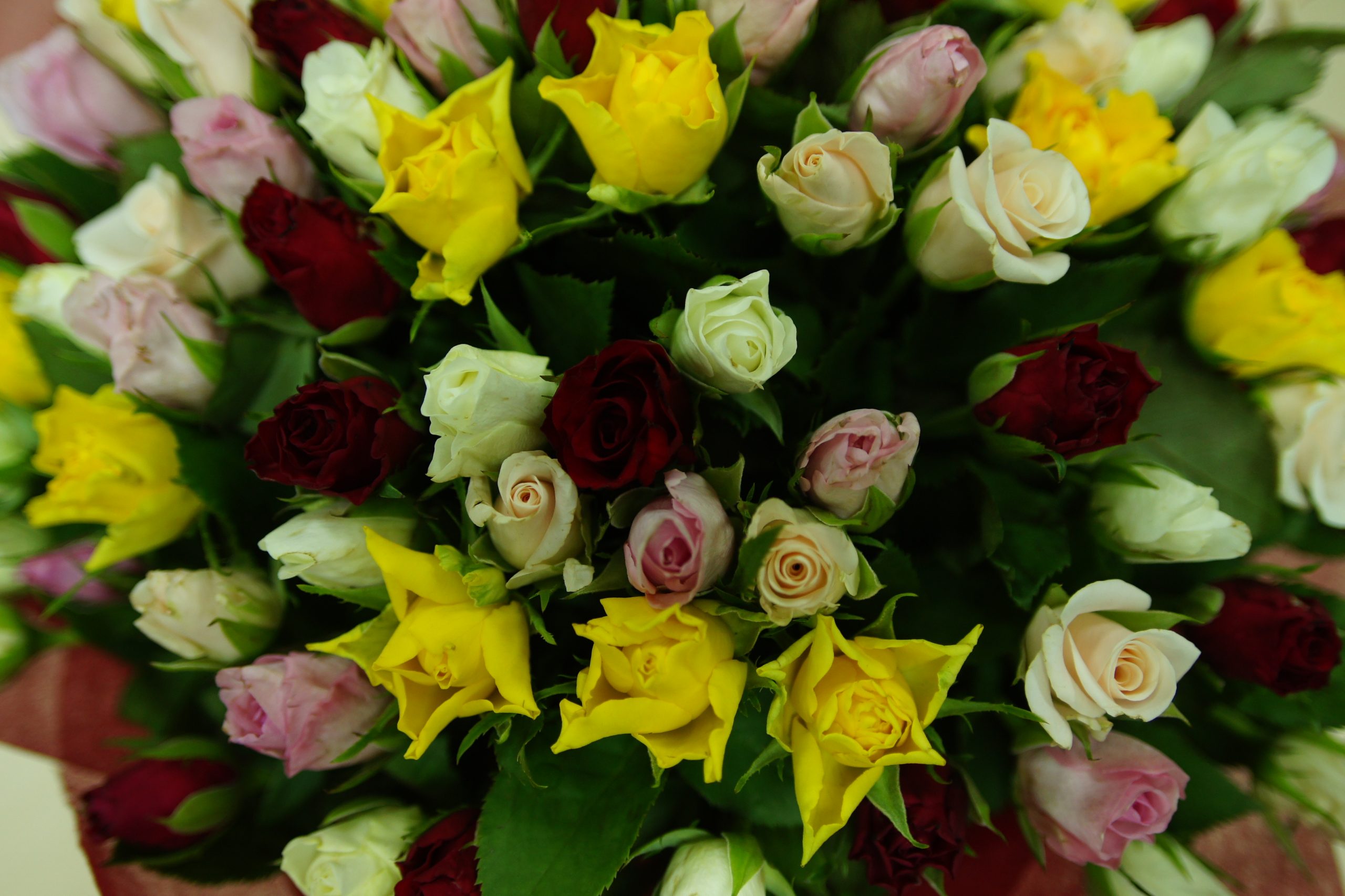 В Тольятти задержали подозреваемого в краже 100 роз из цветочного магазина