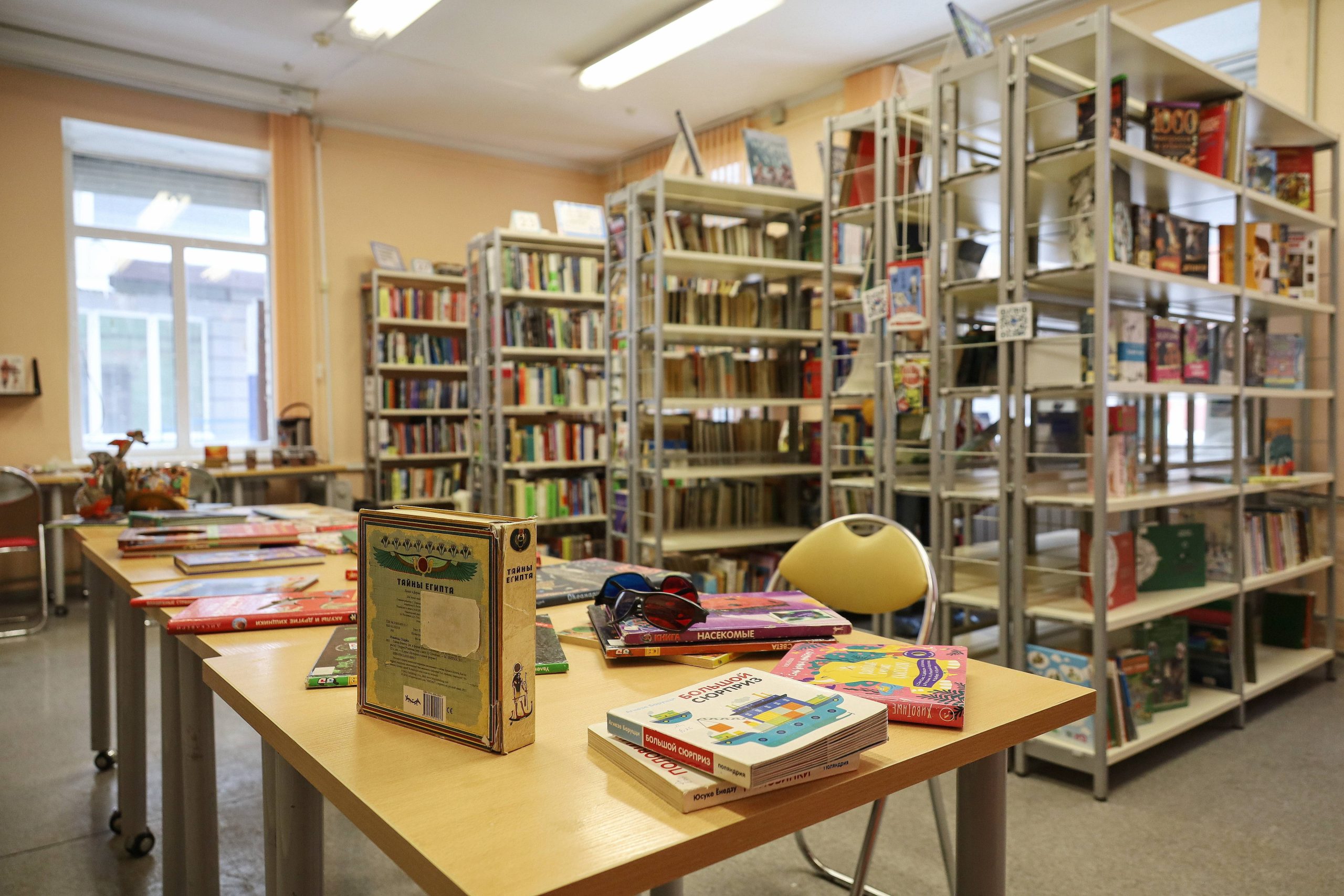Заведующая самарской детской библиотекой № 16 стала победителем конкурса «Профессионал года 2024»