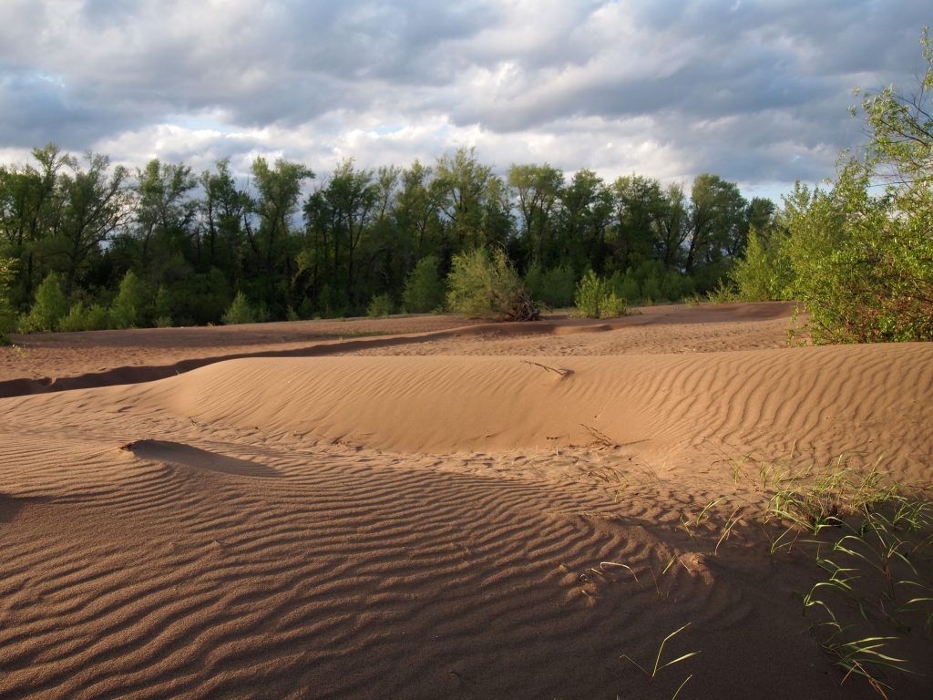 Весенние сплавы. Команда самарцев вот уже более 20 лет проводит байдарочные «маевки» на реках России
